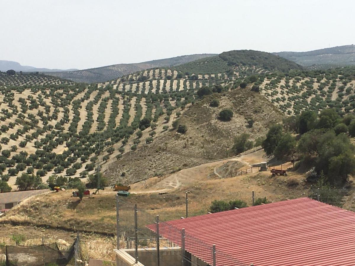 Apartamento Turistico Mirador De Sierra Magina Noalejo Entre Granada Y Jaen Exteriér fotografie